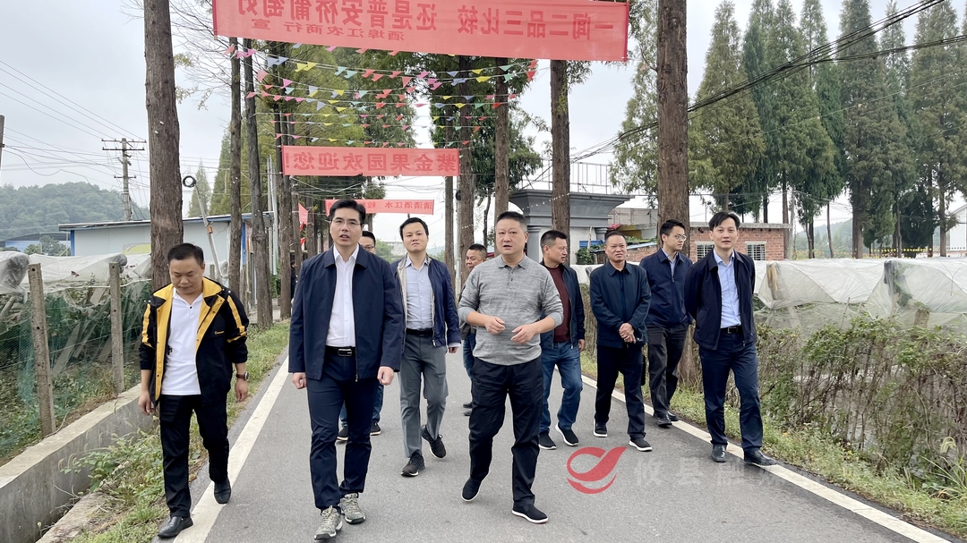 武挪强深入酒埠江镇调研乡村振兴及开展巡田工作