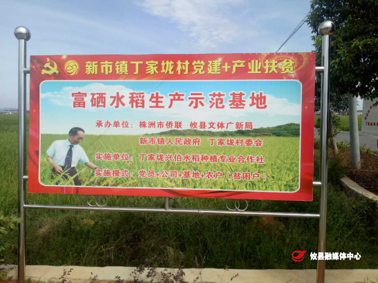 新市镇丁家垅村：凝心聚力 共启乡村振兴“崭新篇章”