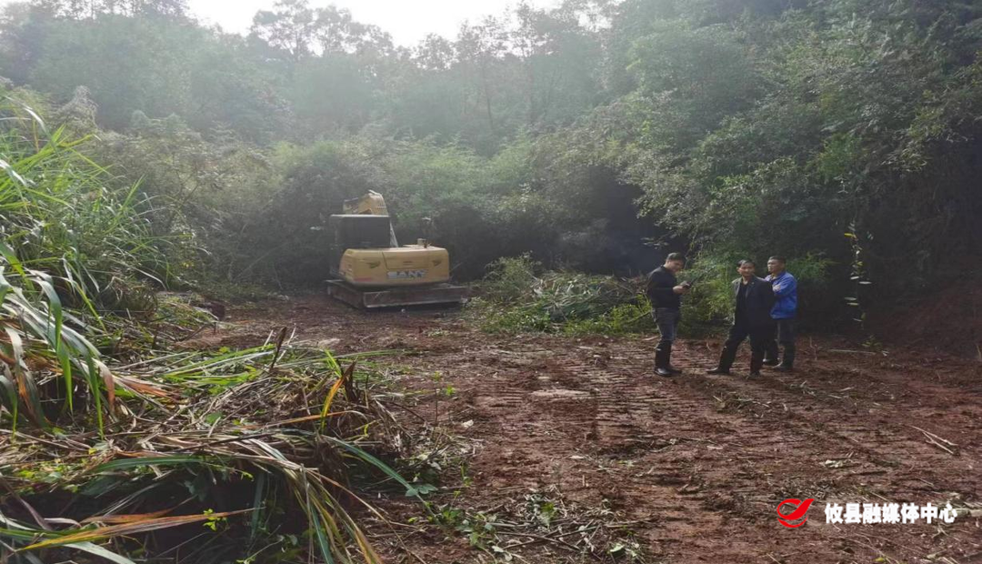 新市镇：高效推进耕地恢复，守好耕地保护红线