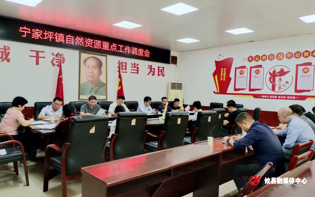 宁家坪镇：全面推动耕地保护，全力保障自然资源