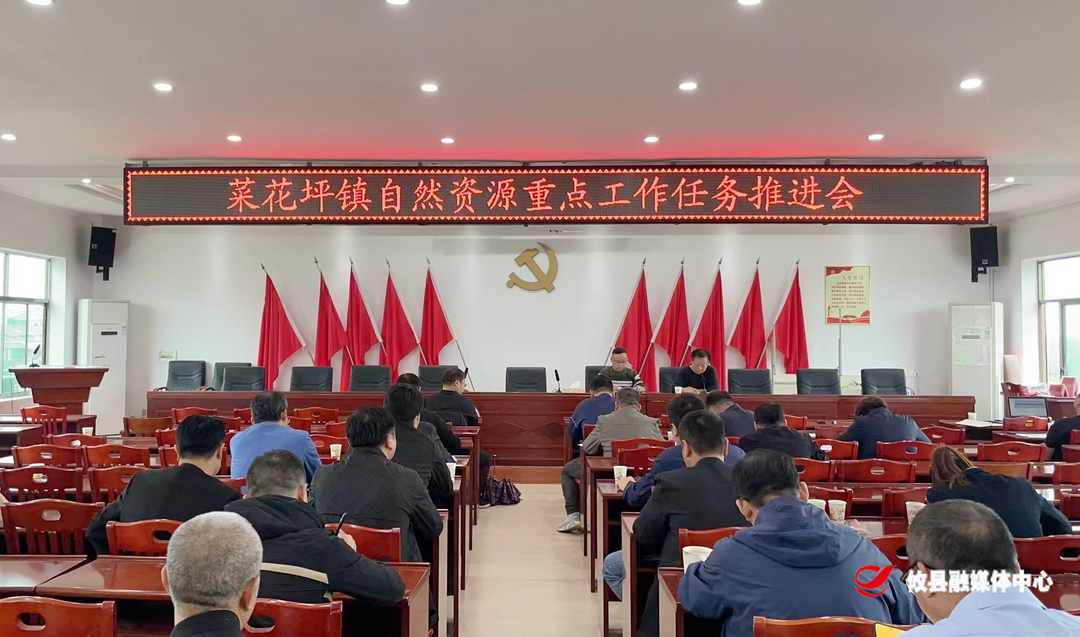 菜花坪镇召开自然资源重点工作任务推进会