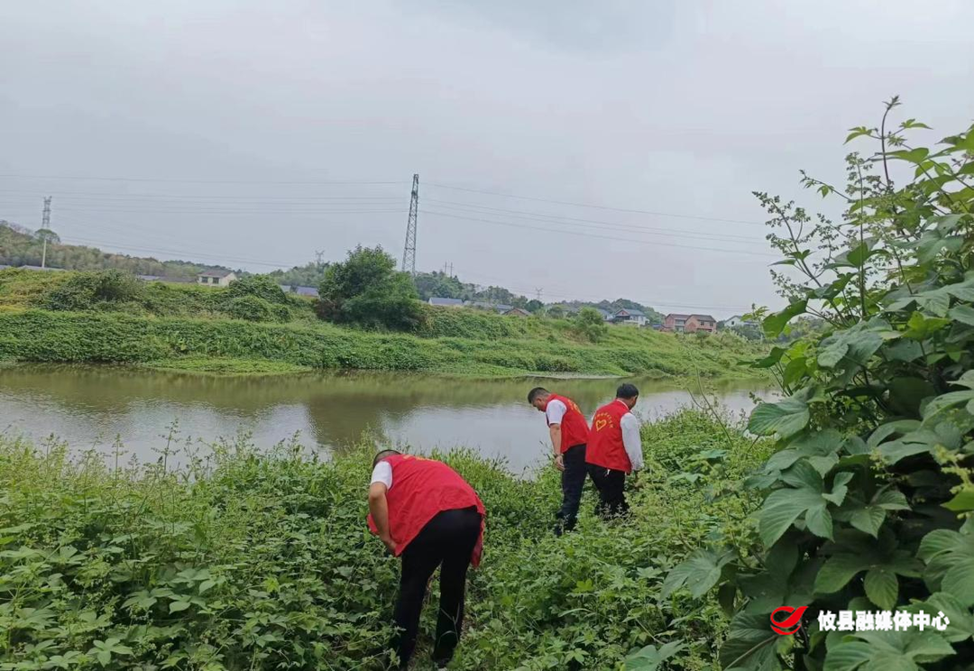 网岭镇：开展“清河净滩”行动 守护一江碧水