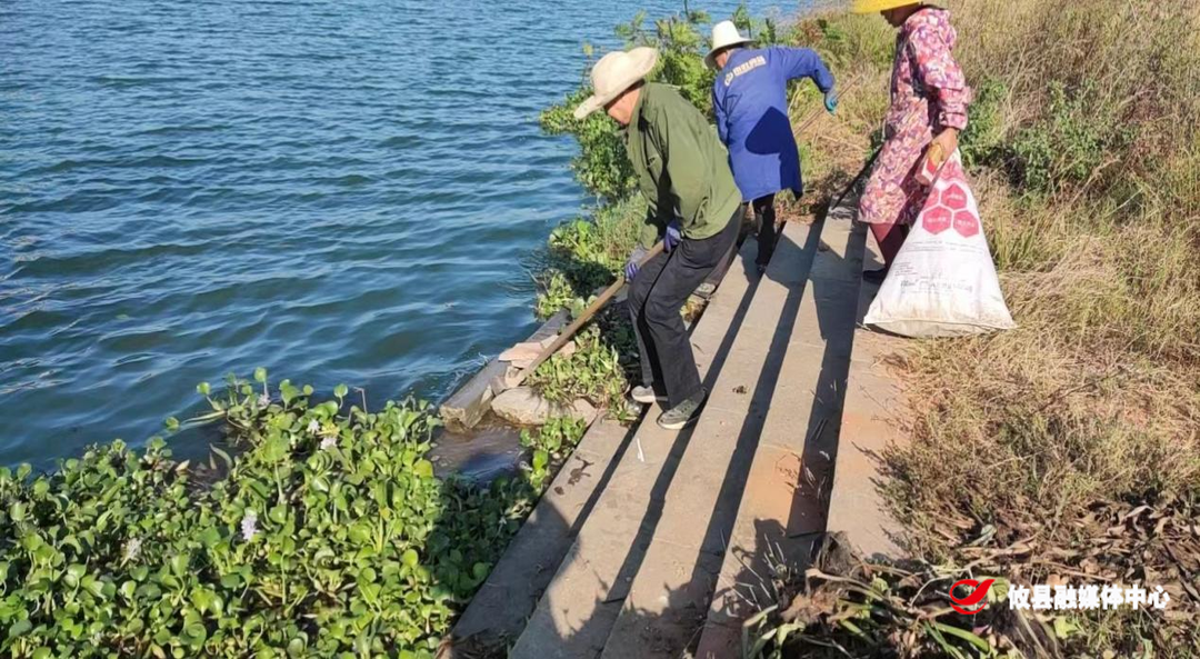 谭桥街道：开展河道清理  绘就洣水新画卷