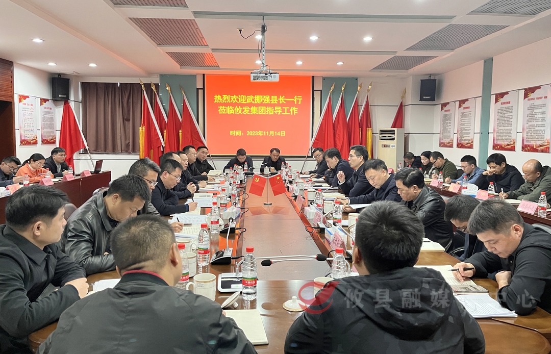 武挪强调研县属国企 强调：深化改革 提升效益 助力攸县高质量发展