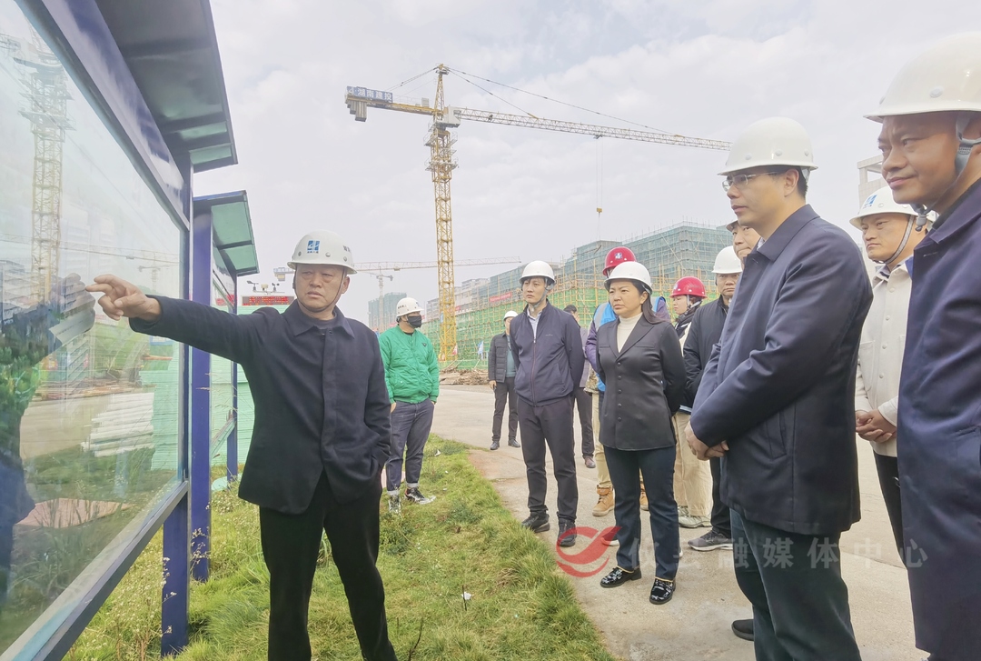武挪强调研攸州中心医院项目建设工作