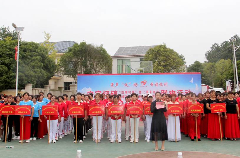 宁家坪镇：万众一心，全力冲刺“最美潇湘文化阵地”