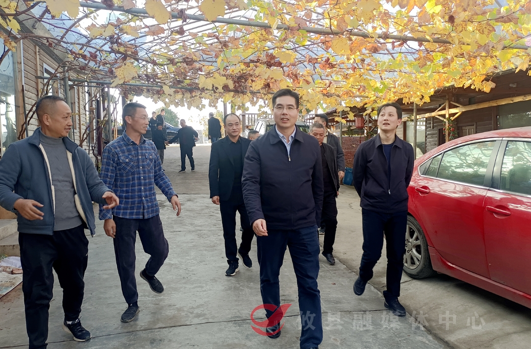 武挪强到皇图岭镇调研乡村振兴工作