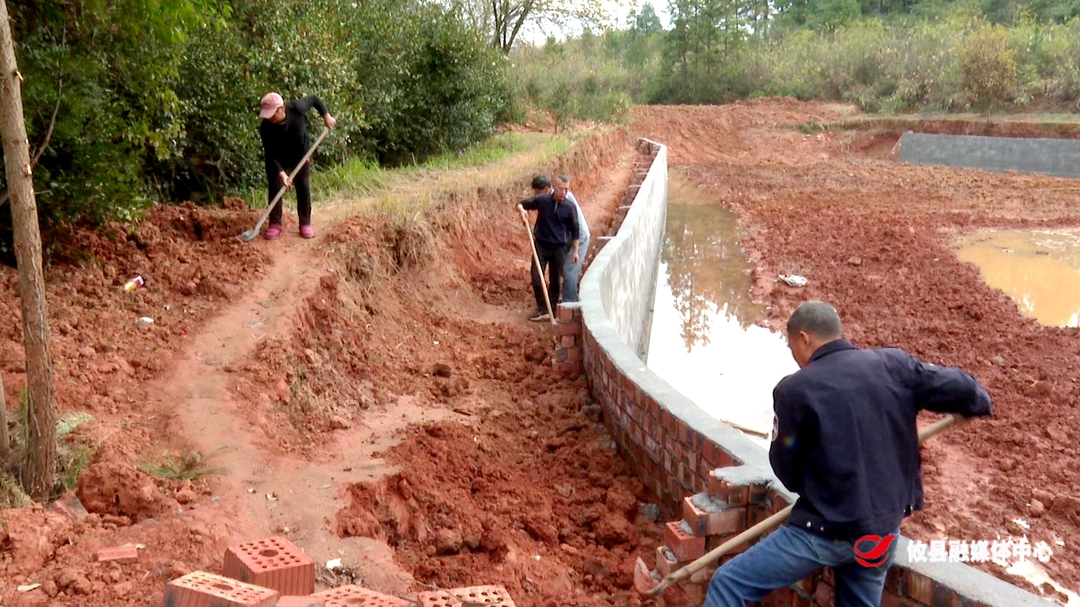 网岭镇：冬修水利正当时 夯实基础惠民生