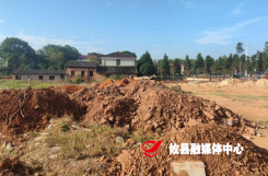 网岭镇：扎实推进违法用地整改 坚决守牢耕地保护红线