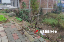 网岭镇：全力拆除私搭乱建 提升违建整治力度