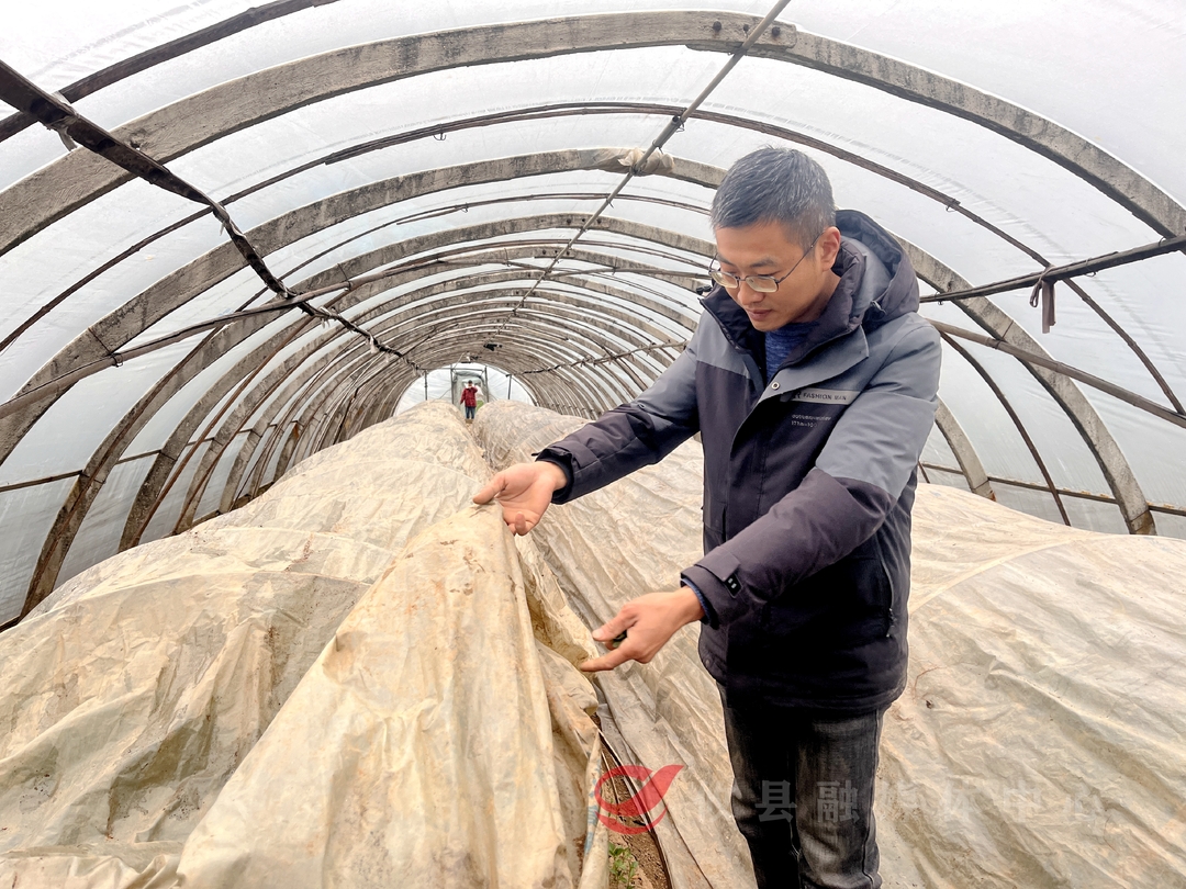 攸县：“棚中棚”抗寒潮 确保蔬菜生产正常