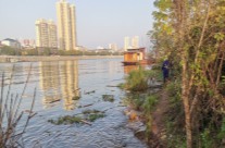 谭桥街道：履行河长职责 守护一江碧水