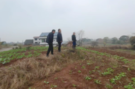 菜花坪镇全力推进耕地恢复图斑 整改销号工作