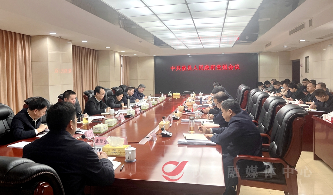 攸县人民政府召开党组会议