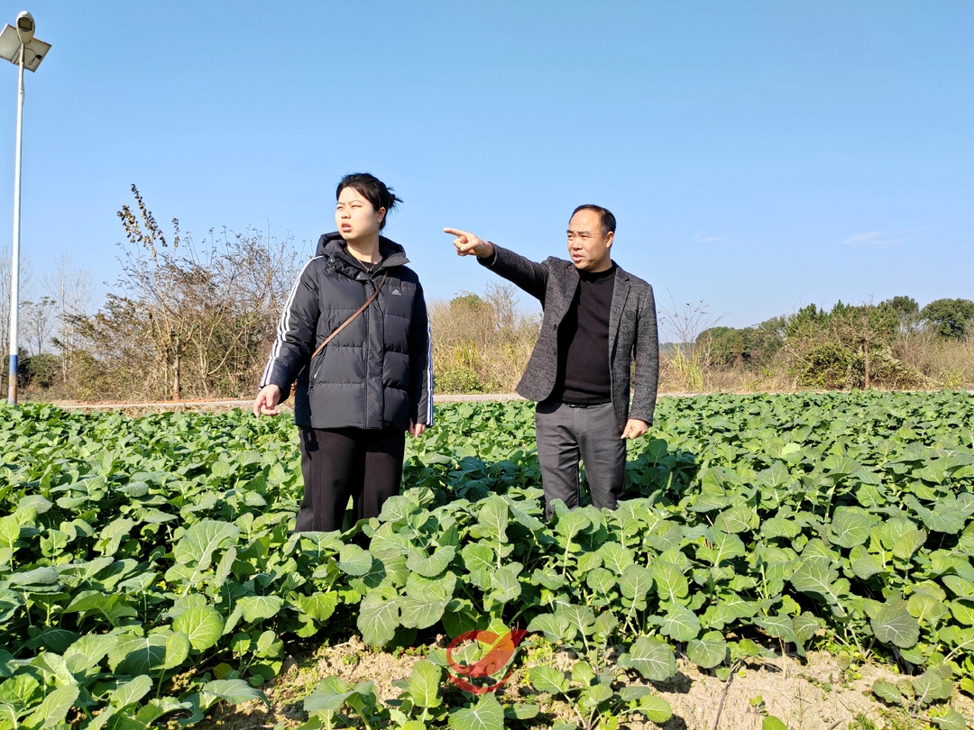 【代表风采】陈望雀：当好农民“代言人”  乡村“兴农人”