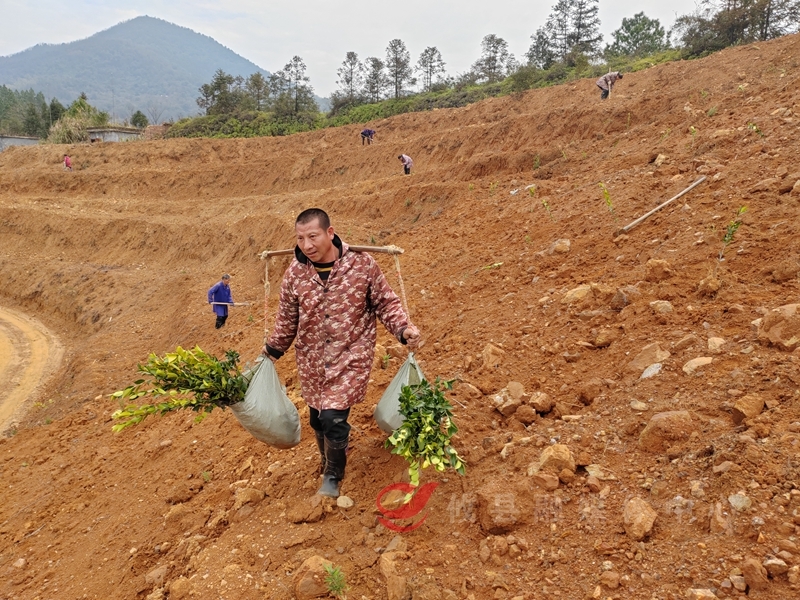 走起，为攸县种上“防火带”！