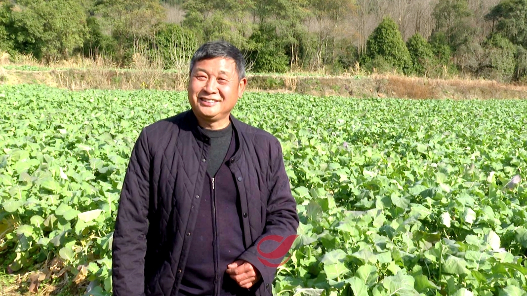 【代表风采】廖义平：当好人民代表 积极参与乡村振兴