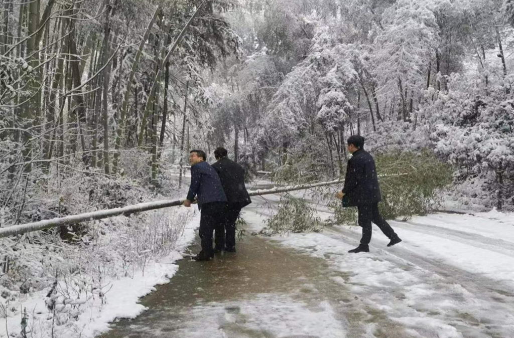 以雪为令、以民为本 莲塘坳镇人民政府全力抗击雨雪天气