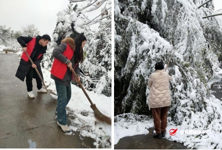 【党旗下的新时代文明实践】黄丰桥镇开展扫雪除冰保安全志愿服务活动