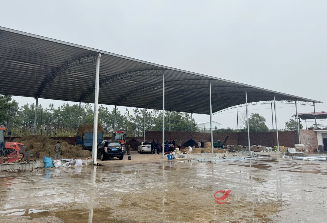 【人勤春来早】攸县：新改建10万平方米育秧设施建设 助力早稻扩面增产