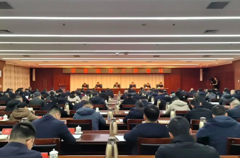 市委农村工作会议召开，攸县获评多个先进奖项！
