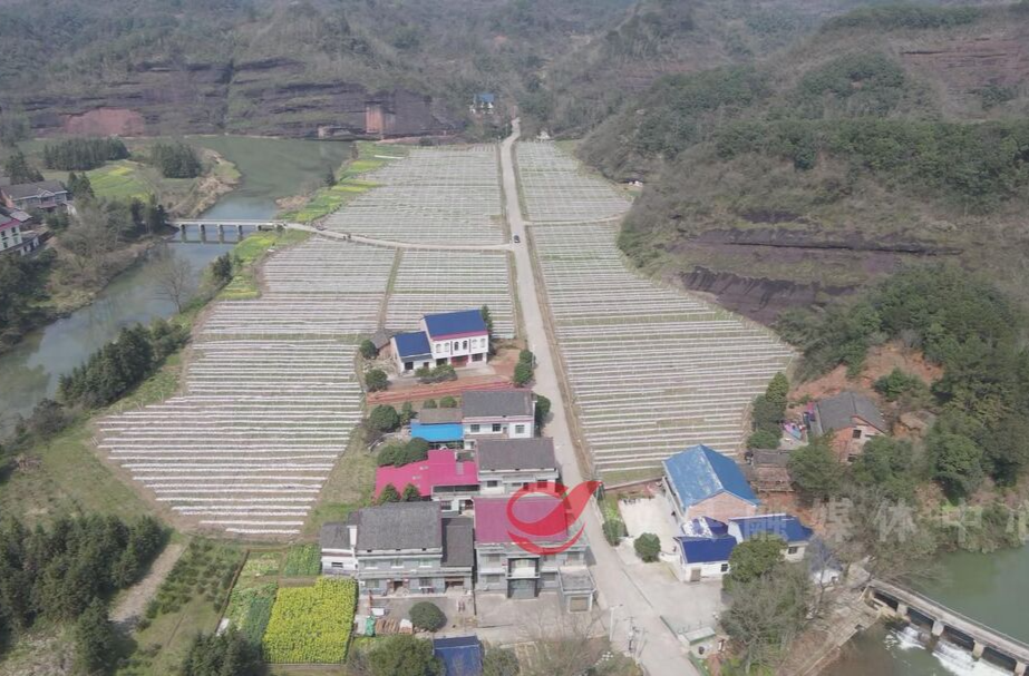 【春耕备耕】莲塘坳镇南水村：田野间机器轰鸣 春耕备耕忙