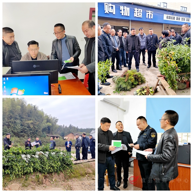 攸县：做强油茶产业链 从把严苗木品质关开始