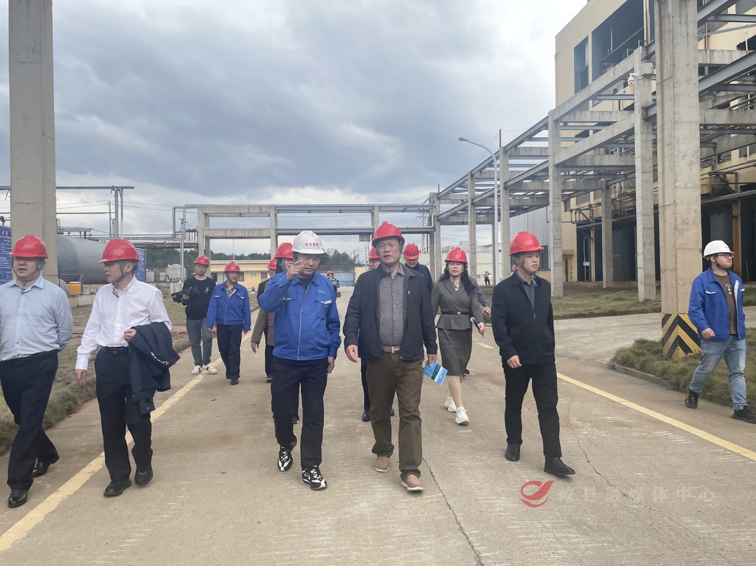  省第一生态环境保护督察组组长带队下沉攸县督察