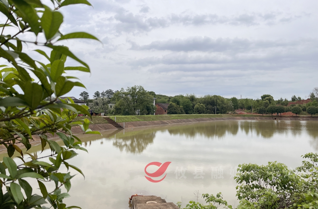 攸县：闻“汛”而动 筑牢防汛“安全堤”