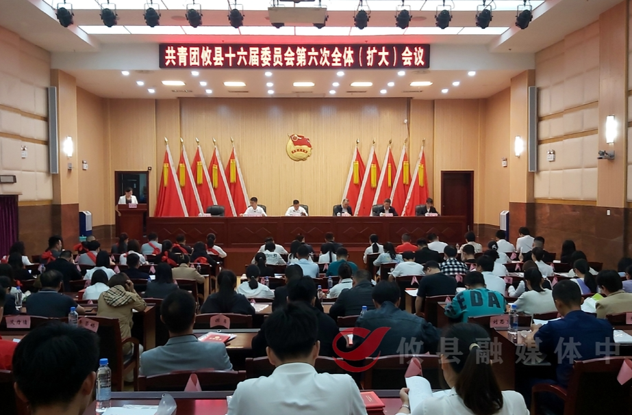 持续实施“四大工程” 今年攸县共青团这样干