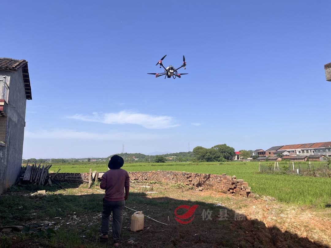 渌田镇：出台奖励办法 全面推动双季稻“扩面增产”