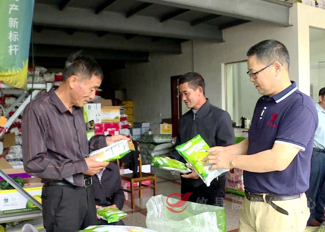 攸县：低镉水稻种子热销 市场上供不应求