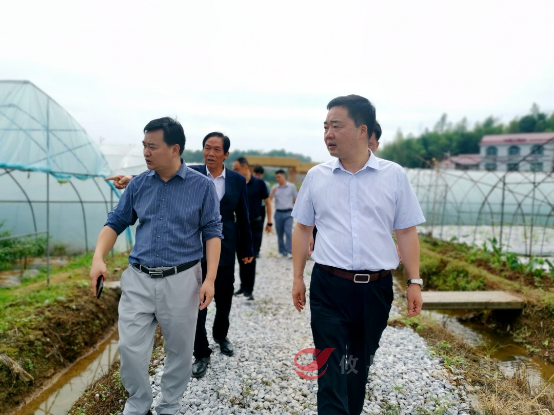 李鹏程赴皇图岭镇调研  强调：立足农业产业特色化  培育区域发展新动能