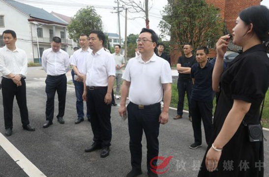 市委常委、统战部长罗绍昀来攸调研落实群众身边不正之风和腐败问题集中整治工作