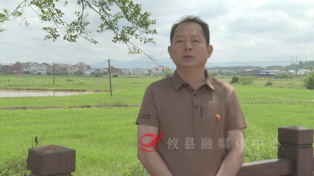 【实干宣言】联星街道大屋村党委书记文勇： 全力打造宜居宜业的和美乡村