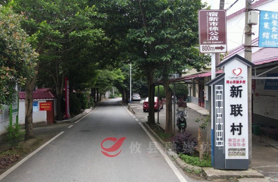 【村里的现代化】新市镇新联村：农文旅深度融合赋能乡村振兴 让村民在家门口实现就业增收