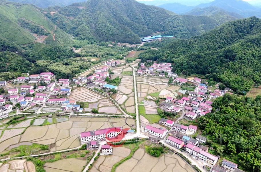 【村里的现代化】鸾山镇新和村：因地制宜谋发展 产业兴旺惠民生