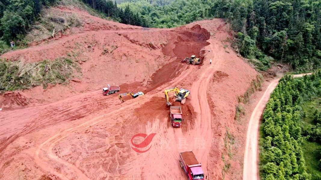 宁家坪镇：竹业企业落地 近4万亩竹山变“金山”