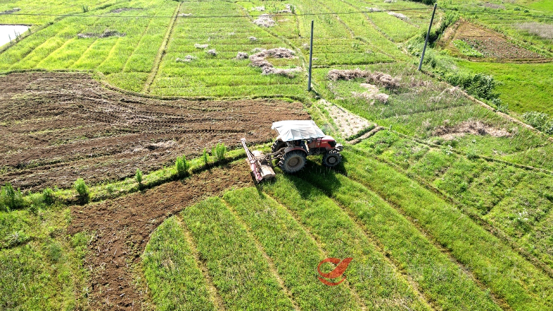 谭桥街道：有序推进抛荒治理 唤醒“沉睡”耕地