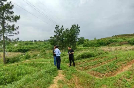 宁家坪镇：推进耕地集中恢复 切实守住耕地红线