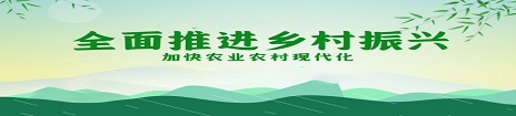全面推进乡村振兴