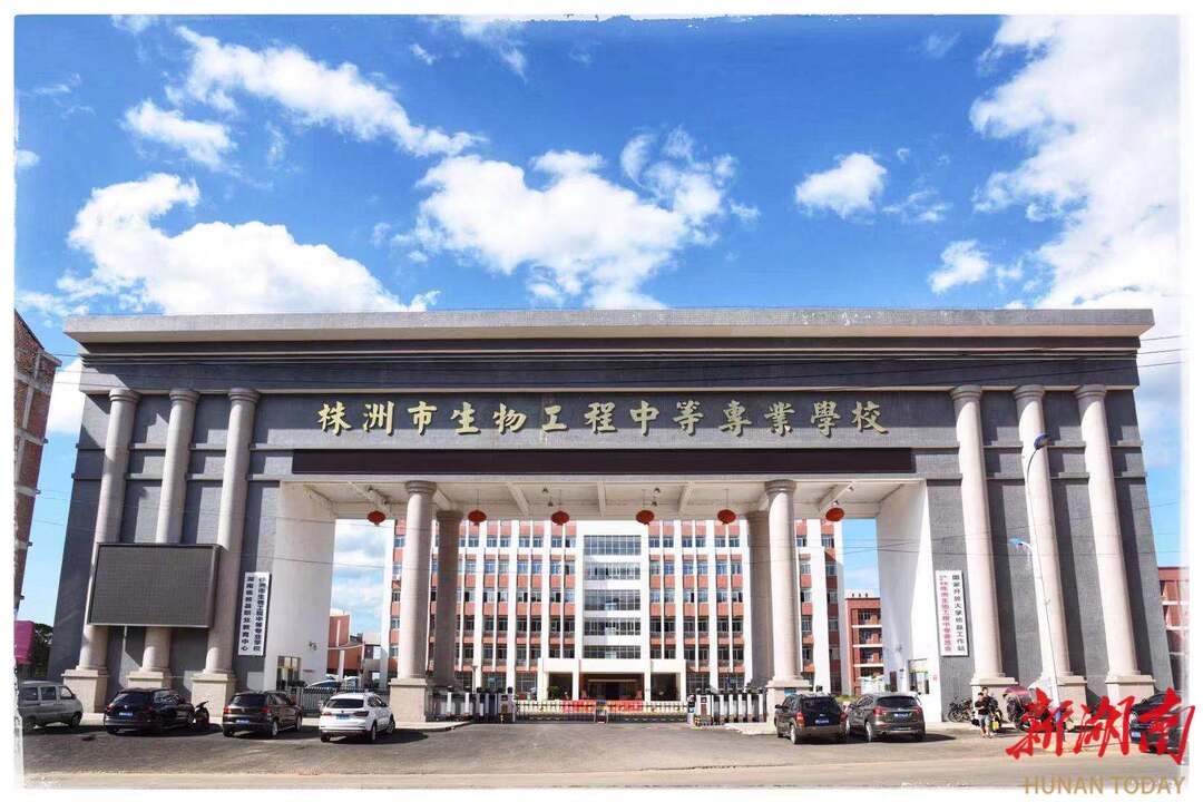 教育观察丨攸县：实实在在把职业教育搞好