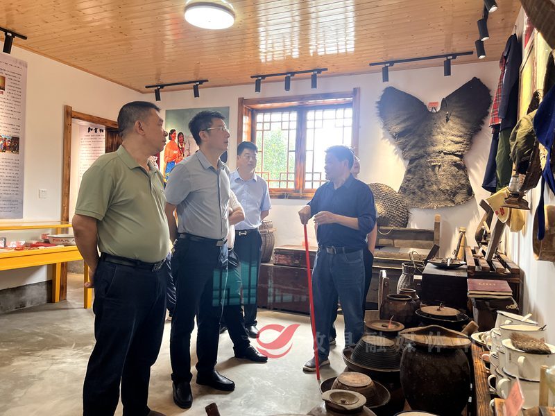 县政协特邀界别委员开展文旅产业发展调研活动
