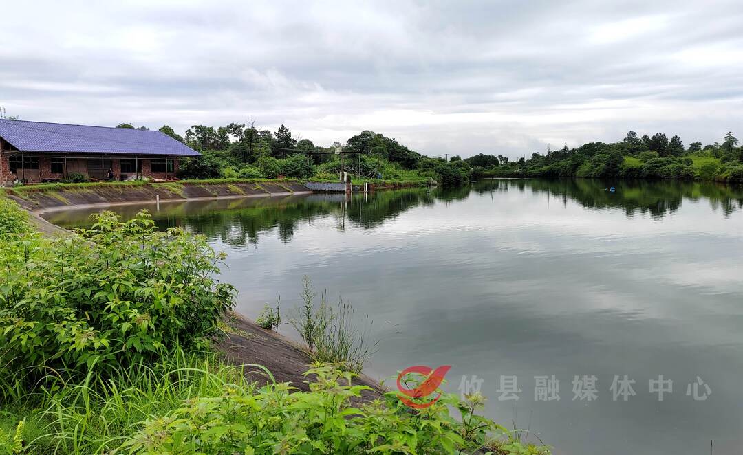 谭桥街道：全力做好汛期防灾减灾工作