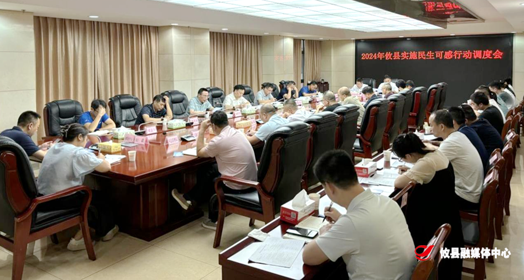 攸县召开“民生可感行动”专项调度会