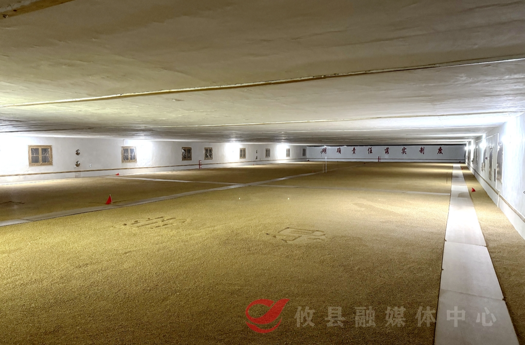 【重点项目巡礼】攸县：建设低温智慧粮仓 夯实粮食安全责任