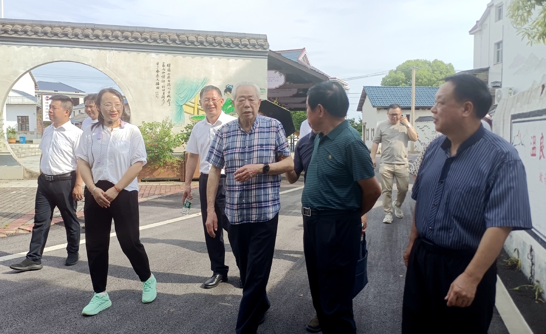 省关工委调研组来攸调研