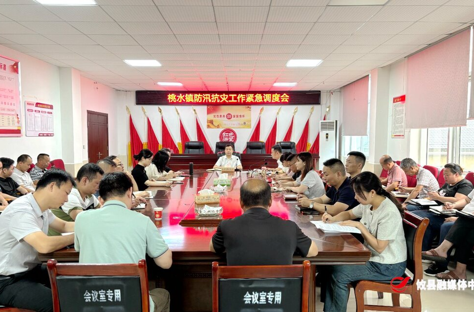 “汛”速出击 桃水镇召开防汛抗灾工作紧急调度会