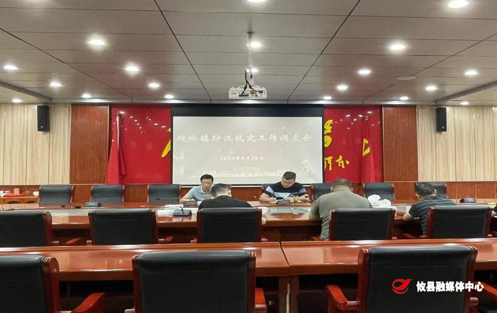 网岭镇：以“迅”应“汛”，坚决打赢防汛抗灾硬仗