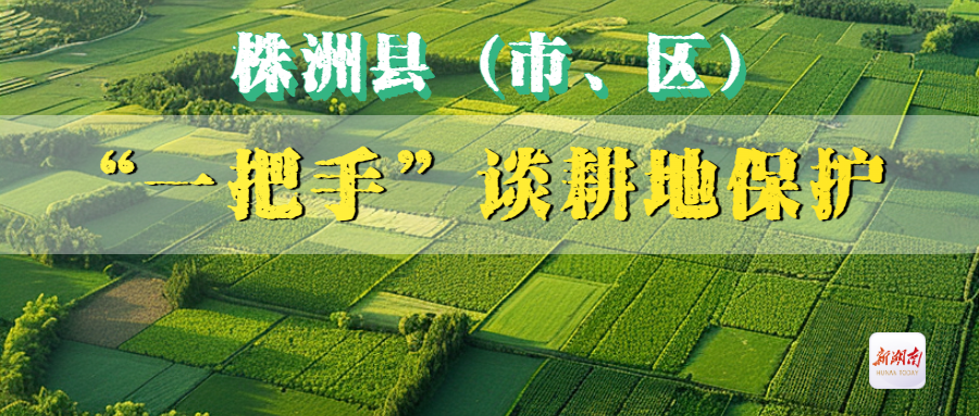 “一把手”谈耕地保护 | 李鹏程：织牢耕地保护网 打赢粮食安全仗